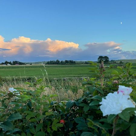 Willa Aengahuset Glemminge Zewnętrze zdjęcie