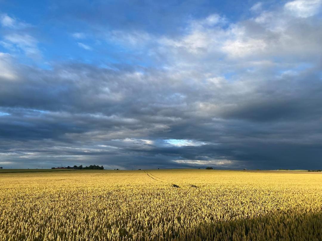 Willa Aengahuset Glemminge Zewnętrze zdjęcie